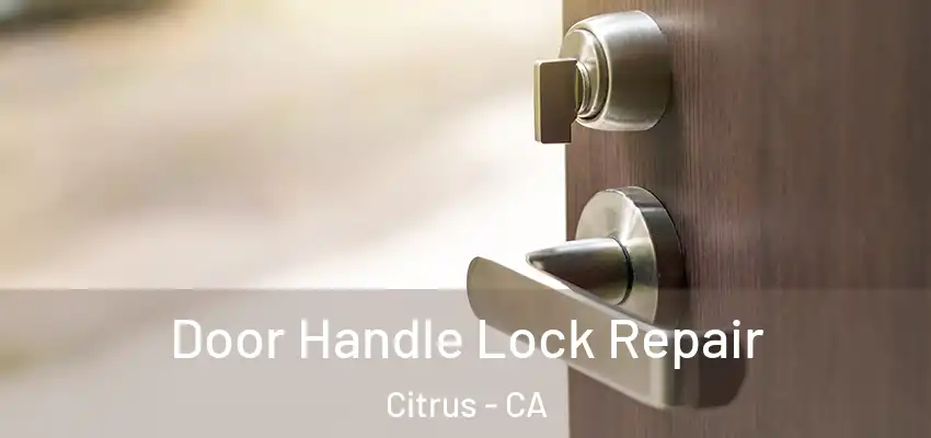  Door Handle Lock Repair Citrus - CA