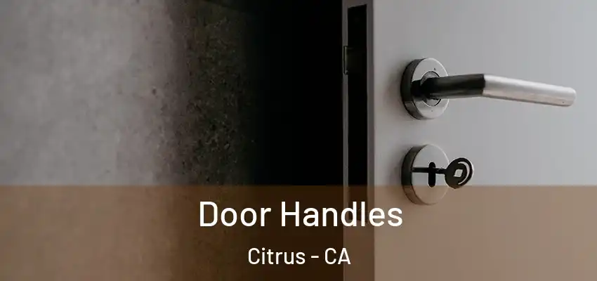  Door Handles Citrus - CA